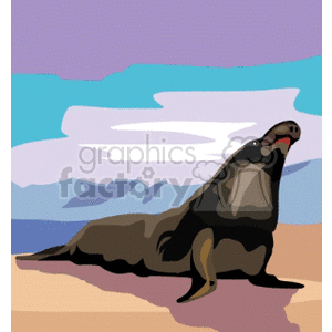clipart -  seal on a sunny beach .