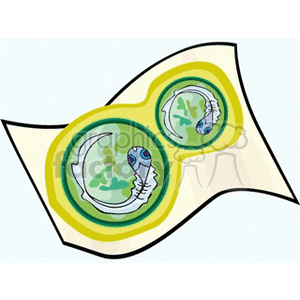cartoon tadpole embryos