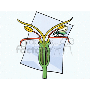 biology clipart. Royalty-free image # 139525