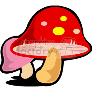 red and pink mushrooms