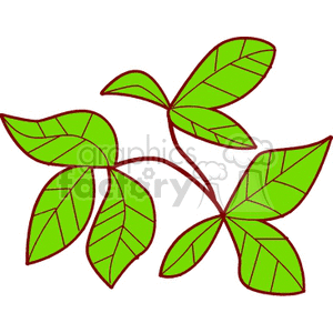 leaves800 clipart. Royalty-free image # 150889