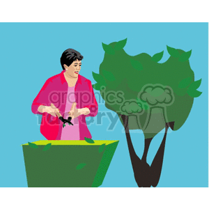 landscaping008 clipart. Royalty-free image # 151673