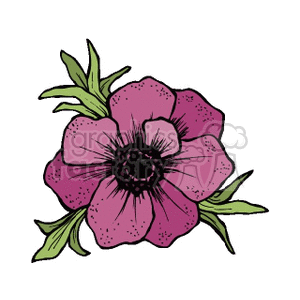 anemone clipart. Royalty-free image # 151787