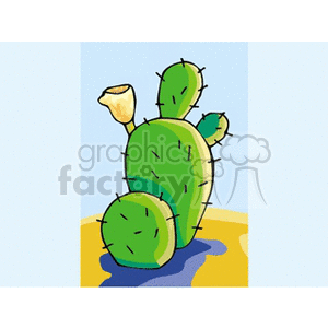   plant plants desert cactus cactuses  cactus131312.gif Clip Art Nature Plants 