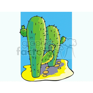   plant plants desert cactus cactuses  cactus271312.gif Clip Art Nature Plants 
