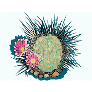   plant plants desert cactus cactuses  cactus71412.gif Clip Art Nature Plants 