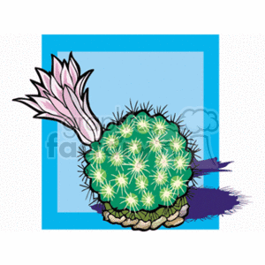 The clipart image features a cartoon depiction of a cactus plant, specifically a Mamillaria boolii. The cactus has a dense array of spines, with small star-shaped patterns across its spherical shape. A single prominent flower with a pinkish hue is blooming atop the cactus, adding a splash of color to the illustration. The background consists of a contrasting blue square that frames the plant, casting a shadow to its right, suggesting a light source to the left of the illustration.