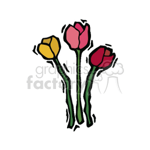 tulips clipart. Commercial use image # 152383