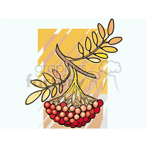 berries clipart. Commercial use image # 152434