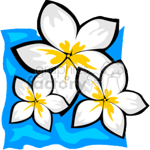 white and yellow tropical flowers clipart. Commercial use image # 163020