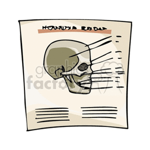 skull chart clipart. Commercial use image # 165281