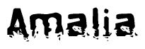 The image contains the word Amalia in a stylized font with a static looking effect at the bottom of the words