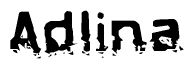 The image contains the word Adlina in a stylized font with a static looking effect at the bottom of the words