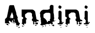 The image contains the word Andini in a stylized font with a static looking effect at the bottom of the words