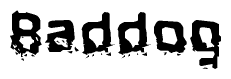 The image contains the word Baddog in a stylized font with a static looking effect at the bottom of the words