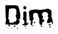 This nametag says Dim, and has a static looking effect at the bottom of the words. The words are in a stylized font.
