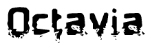 The image contains the word Octavia in a stylized font with a static looking effect at the bottom of the words