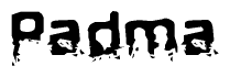 The image contains the word Padma in a stylized font with a static looking effect at the bottom of the words