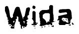 The image contains the word Wida in a stylized font with a static looking effect at the bottom of the words