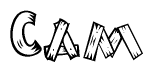 The image contains the name Cam written in a decorative, stylized font with a hand-drawn appearance. The lines are made up of what appears to be planks of wood, which are nailed together
