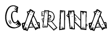 The clipart image shows the name Carina stylized to look like it is constructed out of separate wooden planks or boards, with each letter having wood grain and plank-like details.