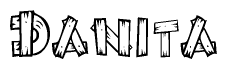 The image contains the name Danita written in a decorative, stylized font with a hand-drawn appearance. The lines are made up of what appears to be planks of wood, which are nailed together