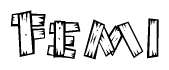 The image contains the name Femi written in a decorative, stylized font with a hand-drawn appearance. The lines are made up of what appears to be planks of wood, which are nailed together