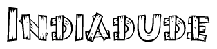 The image contains the name Indiadude written in a decorative, stylized font with a hand-drawn appearance. The lines are made up of what appears to be planks of wood, which are nailed together