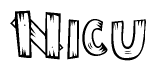 The image contains the name Nicu written in a decorative, stylized font with a hand-drawn appearance. The lines are made up of what appears to be planks of wood, which are nailed together