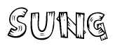 The image contains the name Sung written in a decorative, stylized font with a hand-drawn appearance. The lines are made up of what appears to be planks of wood, which are nailed together