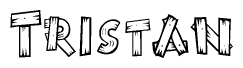 The image contains the name Tristan written in a decorative, stylized font with a hand-drawn appearance. The lines are made up of what appears to be planks of wood, which are nailed together
