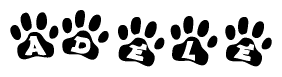 The image shows a series of animal paw prints arranged in a horizontal line. Each paw print contains a letter, and together they spell out the word Adele.