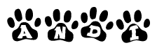 The image shows a series of animal paw prints arranged in a horizontal line. Each paw print contains a letter, and together they spell out the word Andi.