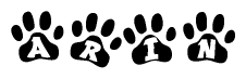 The image shows a series of animal paw prints arranged in a horizontal line. Each paw print contains a letter, and together they spell out the word Arin.