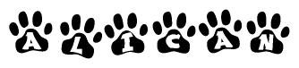 The image shows a series of animal paw prints arranged horizontally. Within each paw print, there's a letter; together they spell Alican