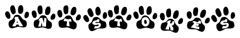 The image shows a series of animal paw prints arranged in a horizontal line. Each paw print contains a letter, and together they spell out the word Antstokes.