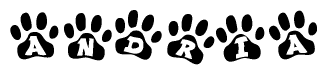 The image shows a row of animal paw prints, each containing a letter. The letters spell out the word Andria within the paw prints.