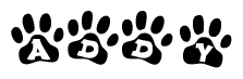 The image shows a series of animal paw prints arranged in a horizontal line. Each paw print contains a letter, and together they spell out the word Addy.