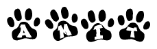 The image shows a series of animal paw prints arranged in a horizontal line. Each paw print contains a letter, and together they spell out the word Amit.