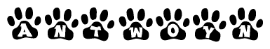 The image shows a row of animal paw prints, each containing a letter. The letters spell out the word Antwoyn within the paw prints.