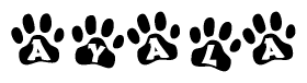 The image shows a row of animal paw prints, each containing a letter. The letters spell out the word Ayala within the paw prints.