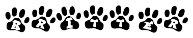 The image shows a row of animal paw prints, each containing a letter. The letters spell out the word Britter within the paw prints.
