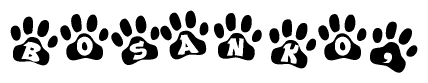 The image shows a series of animal paw prints arranged horizontally. Within each paw print, there's a letter; together they spell Bosanko