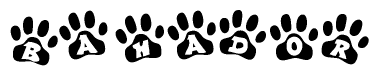 The image shows a series of animal paw prints arranged in a horizontal line. Each paw print contains a letter, and together they spell out the word Bahador.