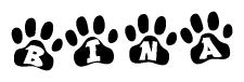 The image shows a series of animal paw prints arranged horizontally. Within each paw print, there's a letter; together they spell Bina