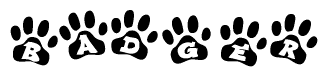The image shows a series of animal paw prints arranged in a horizontal line. Each paw print contains a letter, and together they spell out the word Badger.