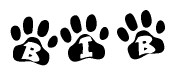The image shows a row of animal paw prints, each containing a letter. The letters spell out the word Bib within the paw prints.