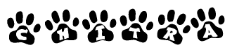 The image shows a row of animal paw prints, each containing a letter. The letters spell out the word Chitra within the paw prints.