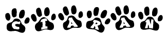 The image shows a series of animal paw prints arranged in a horizontal line. Each paw print contains a letter, and together they spell out the word Ciaran.