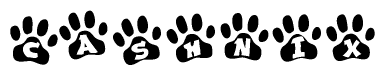 The image shows a row of animal paw prints, each containing a letter. The letters spell out the word Cashnix within the paw prints.